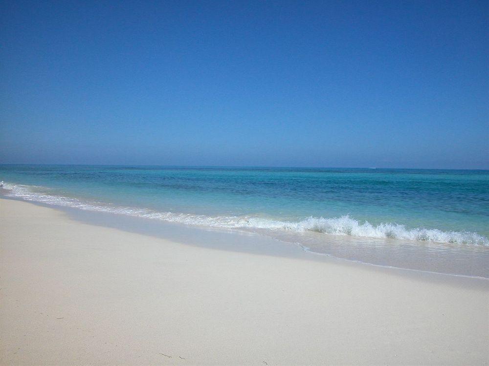 Green Turtle Club Resort & Marina Green Turtle Cay Экстерьер фото