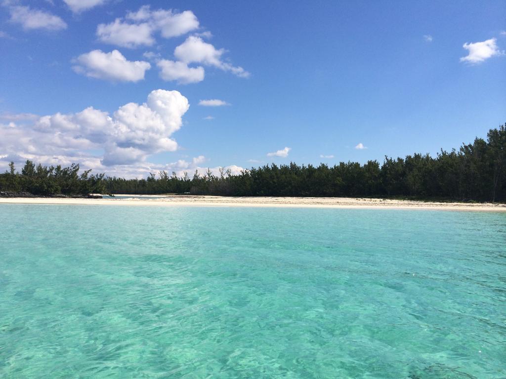 Green Turtle Club Resort & Marina Green Turtle Cay Экстерьер фото
