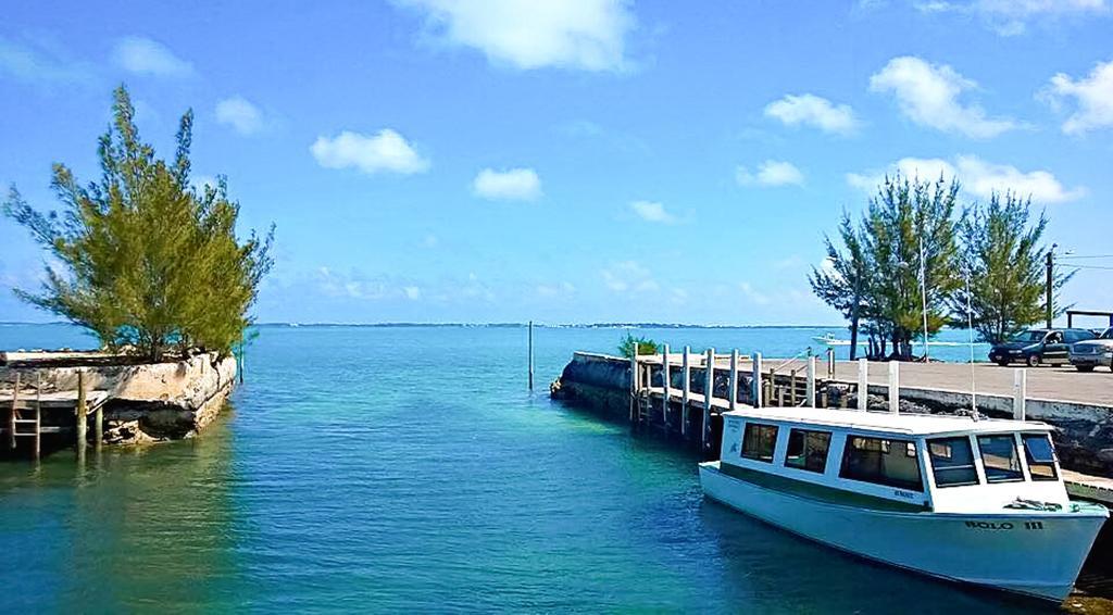Green Turtle Club Resort & Marina Green Turtle Cay Экстерьер фото