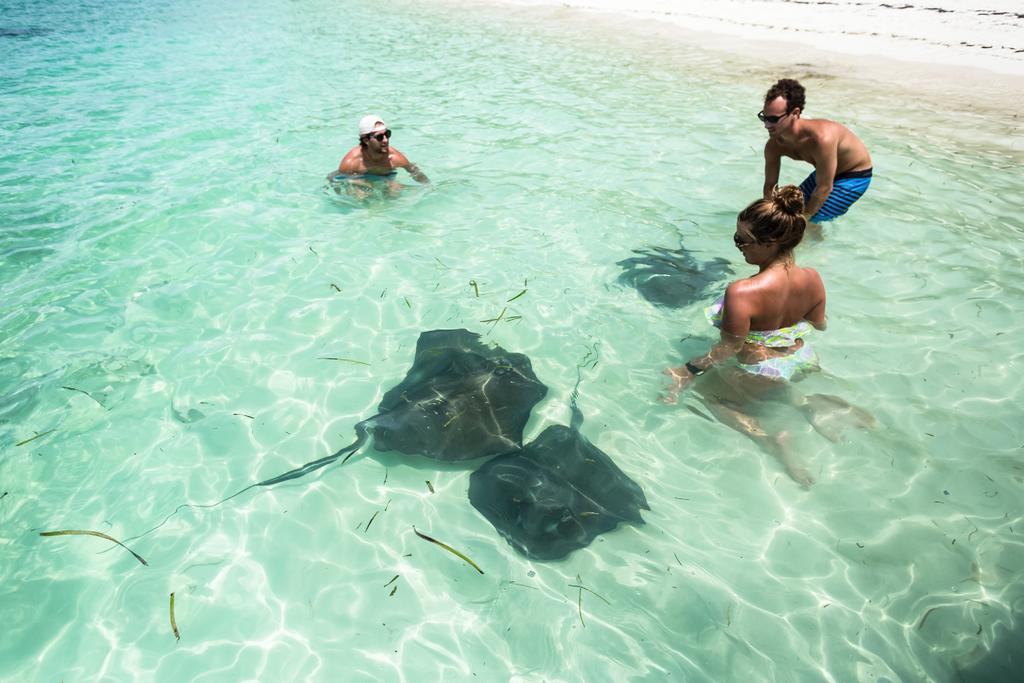 Green Turtle Club Resort & Marina Green Turtle Cay Экстерьер фото