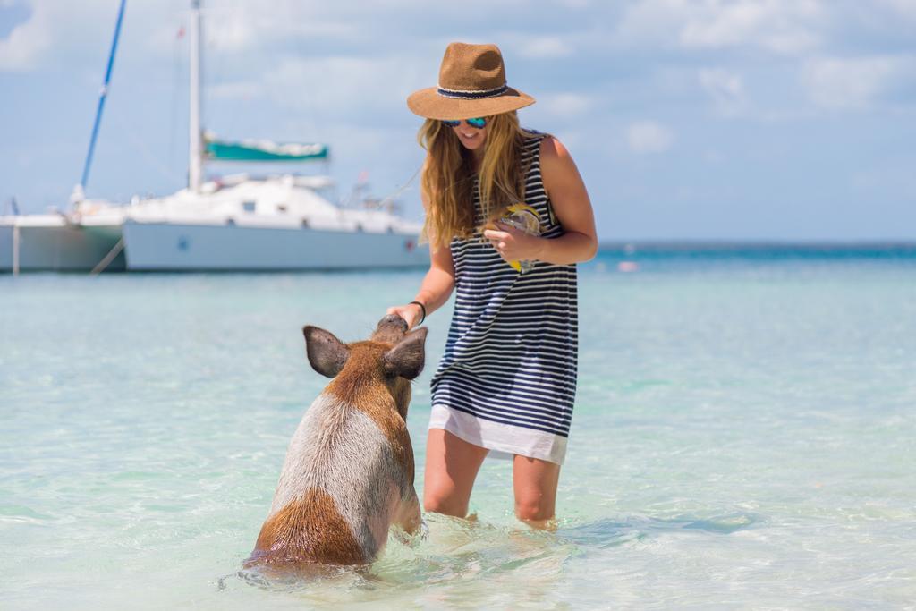 Green Turtle Club Resort & Marina Green Turtle Cay Экстерьер фото
