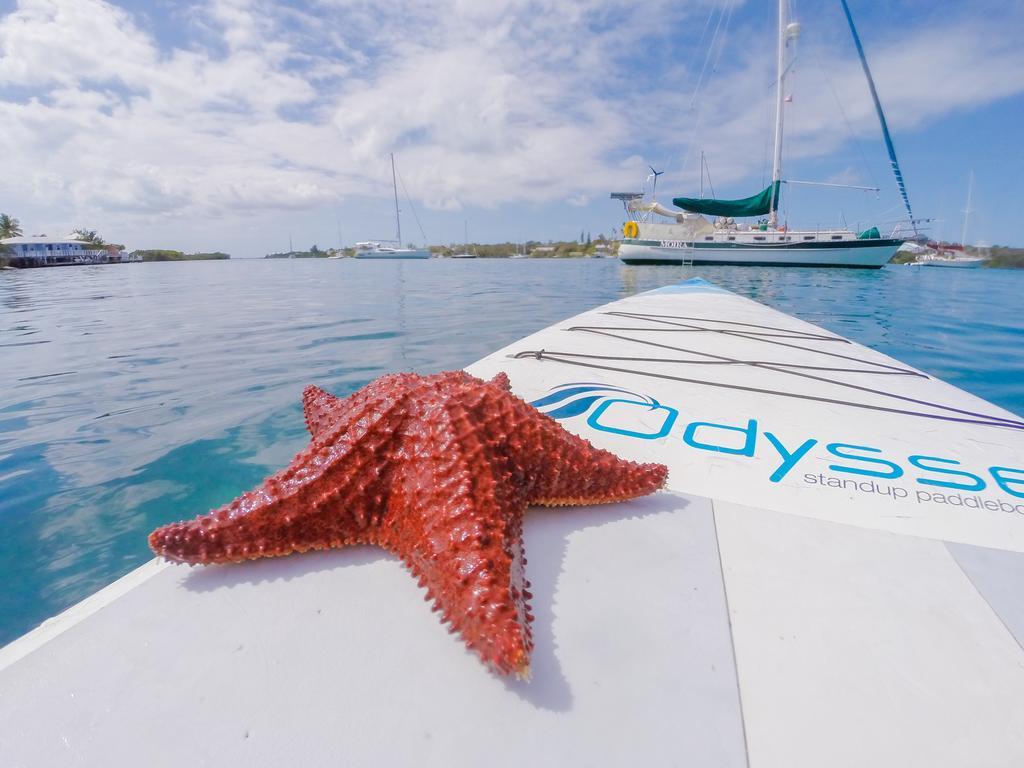 Green Turtle Club Resort & Marina Green Turtle Cay Экстерьер фото