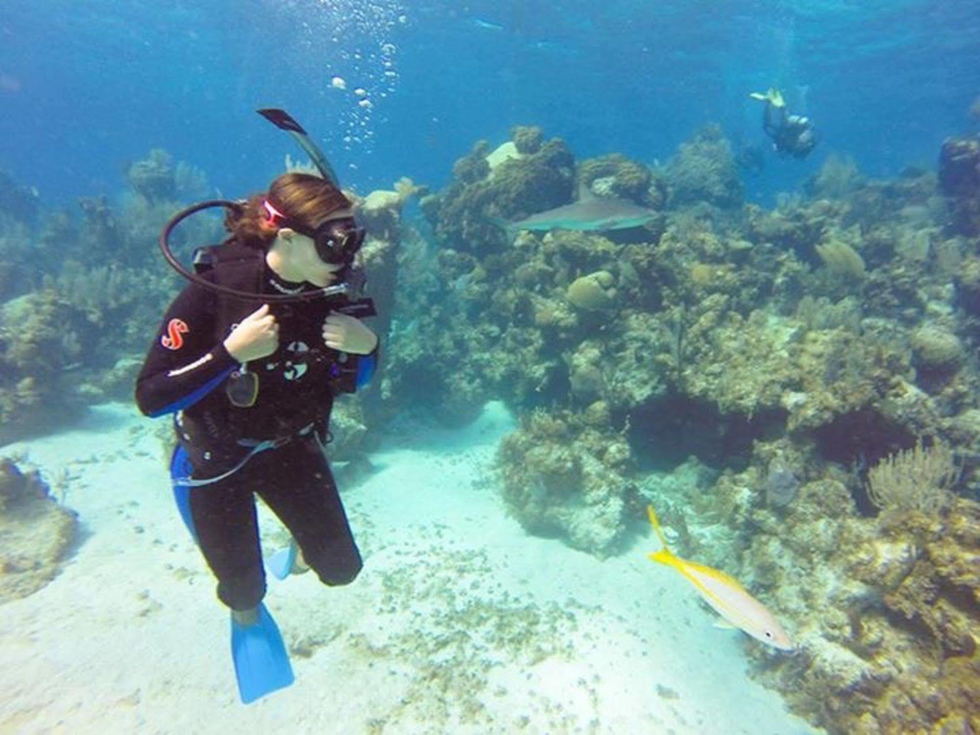 Green Turtle Club Resort & Marina Green Turtle Cay Экстерьер фото