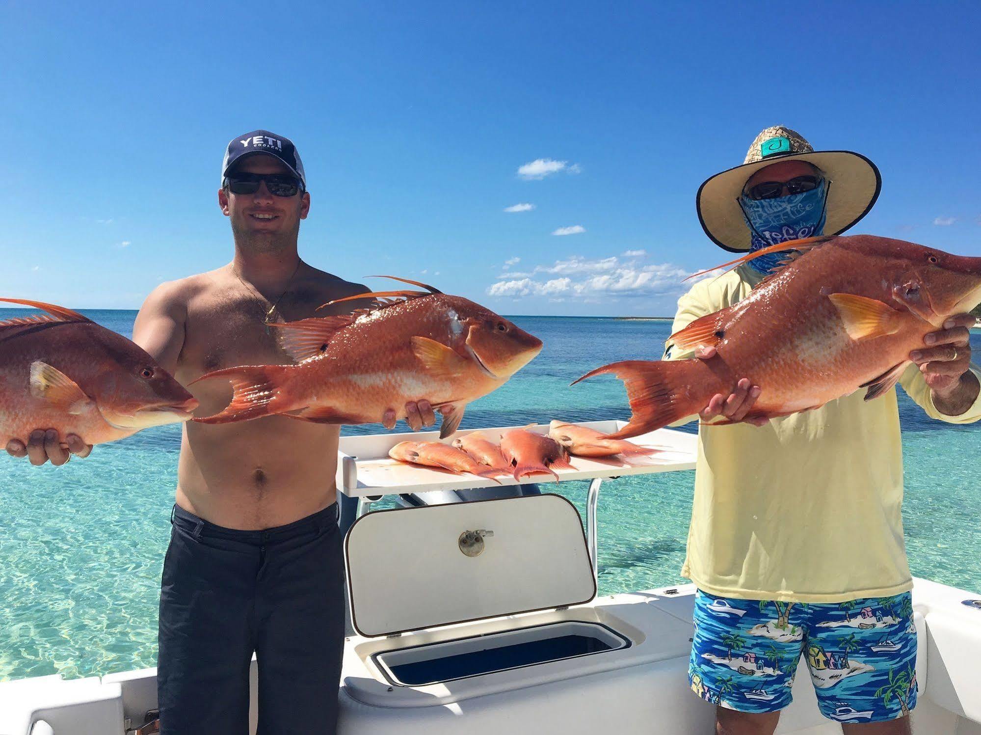 Green Turtle Club Resort & Marina Green Turtle Cay Экстерьер фото