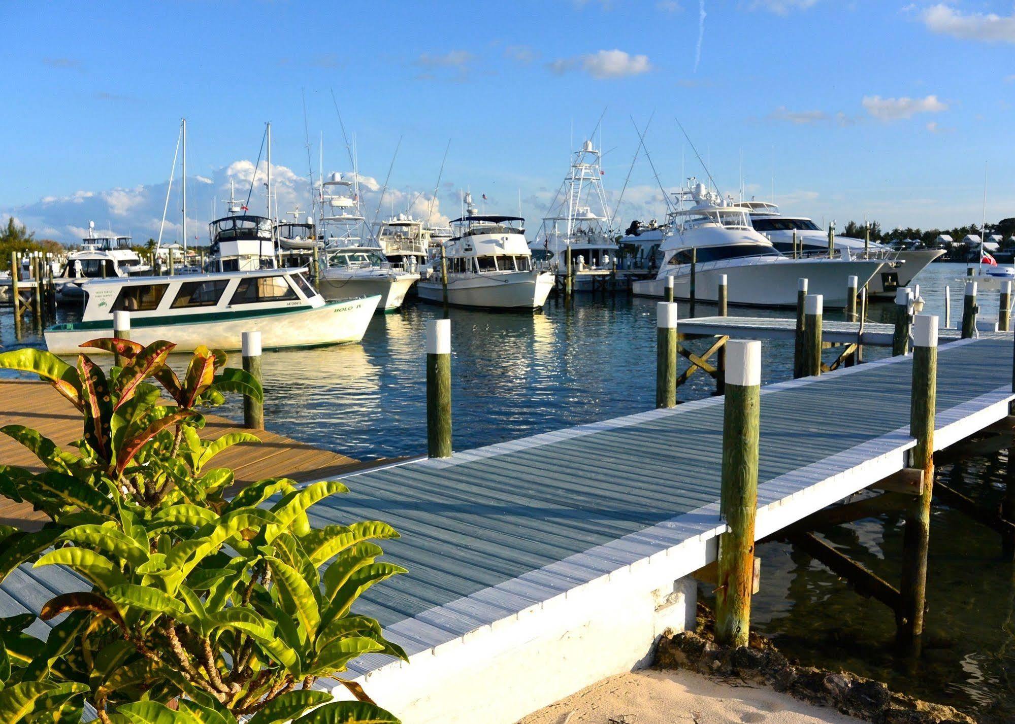 Green Turtle Club Resort & Marina Green Turtle Cay Экстерьер фото
