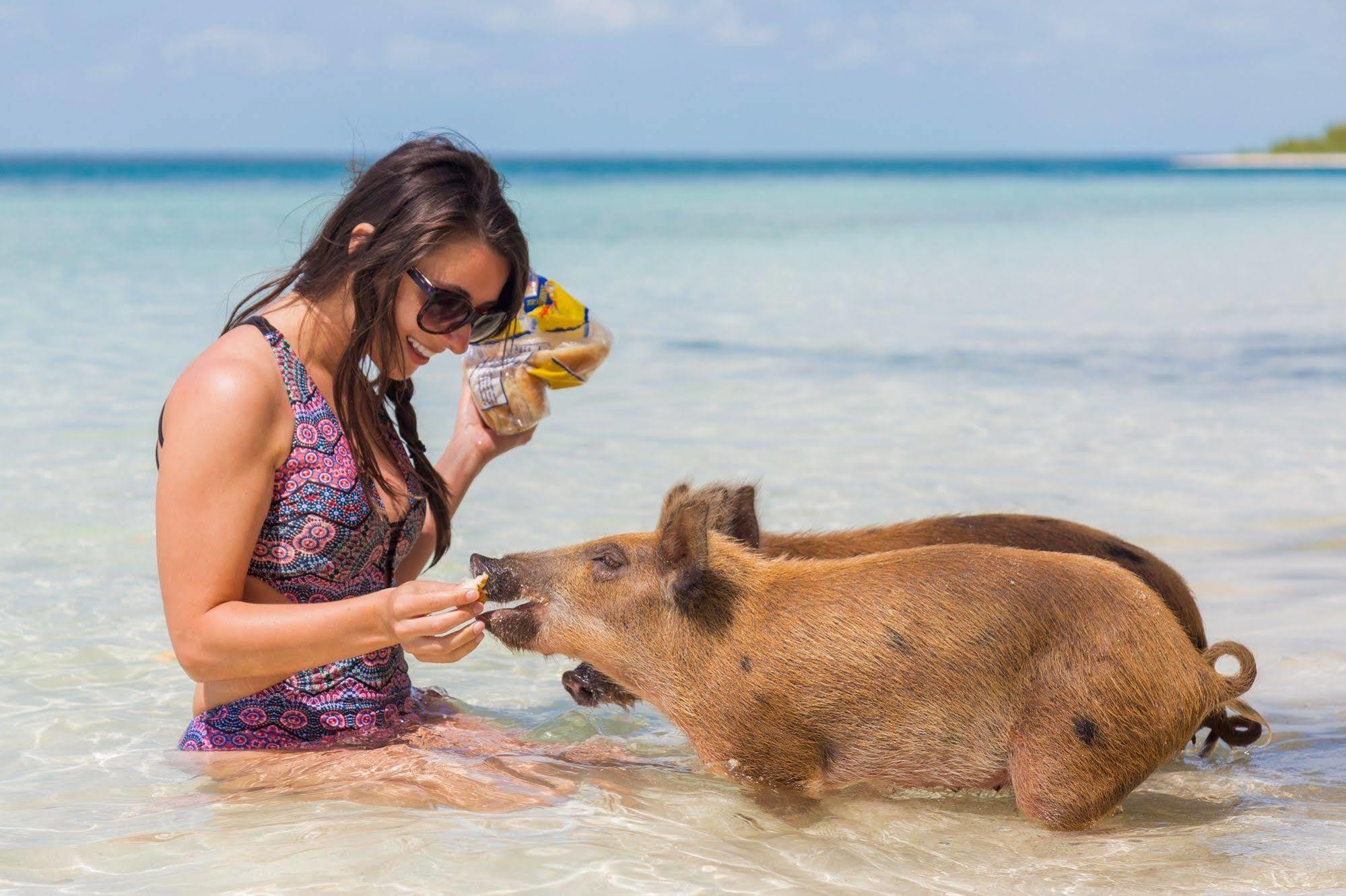 Green Turtle Club Resort & Marina Green Turtle Cay Экстерьер фото