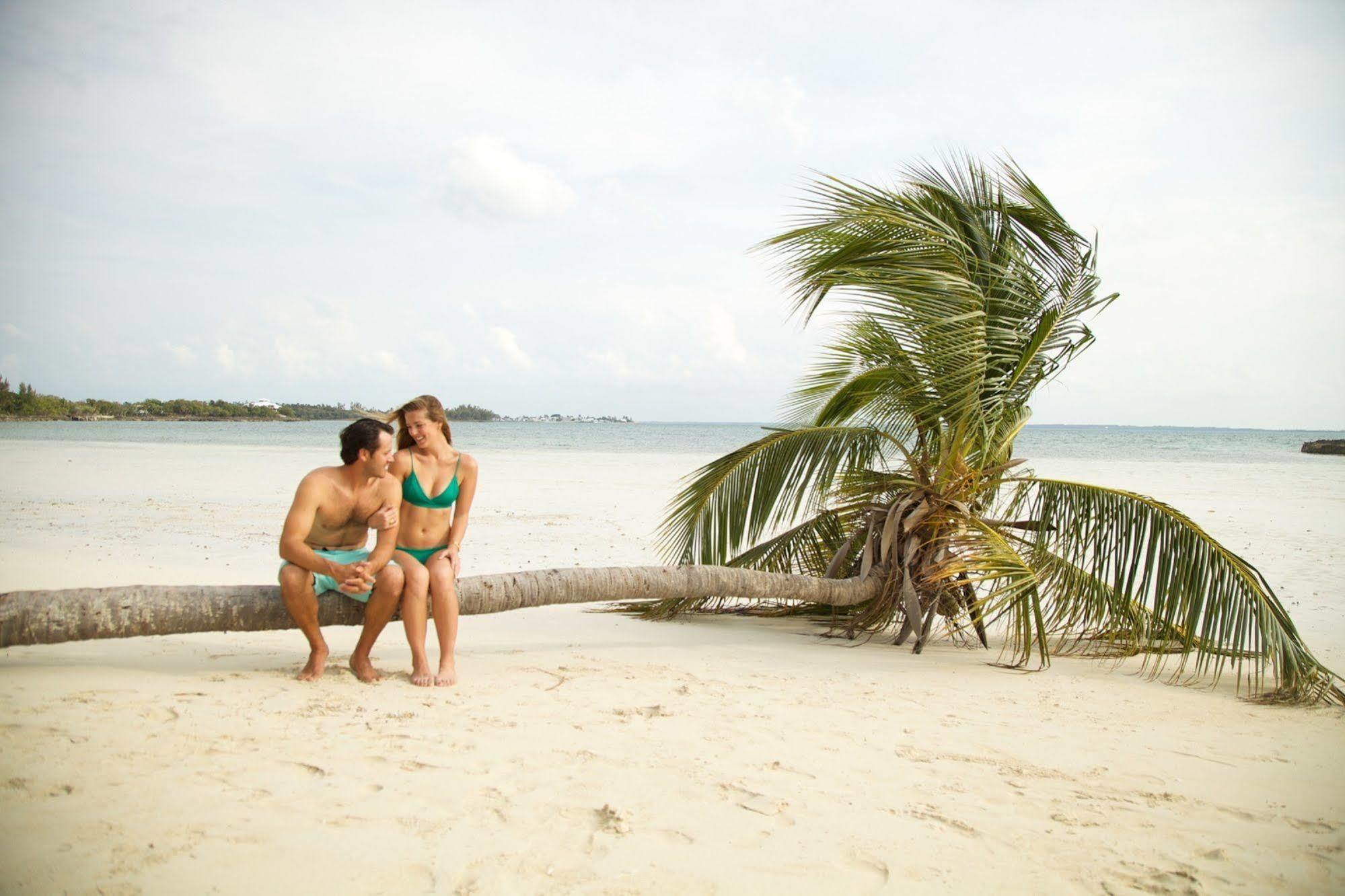 Green Turtle Club Resort & Marina Green Turtle Cay Экстерьер фото