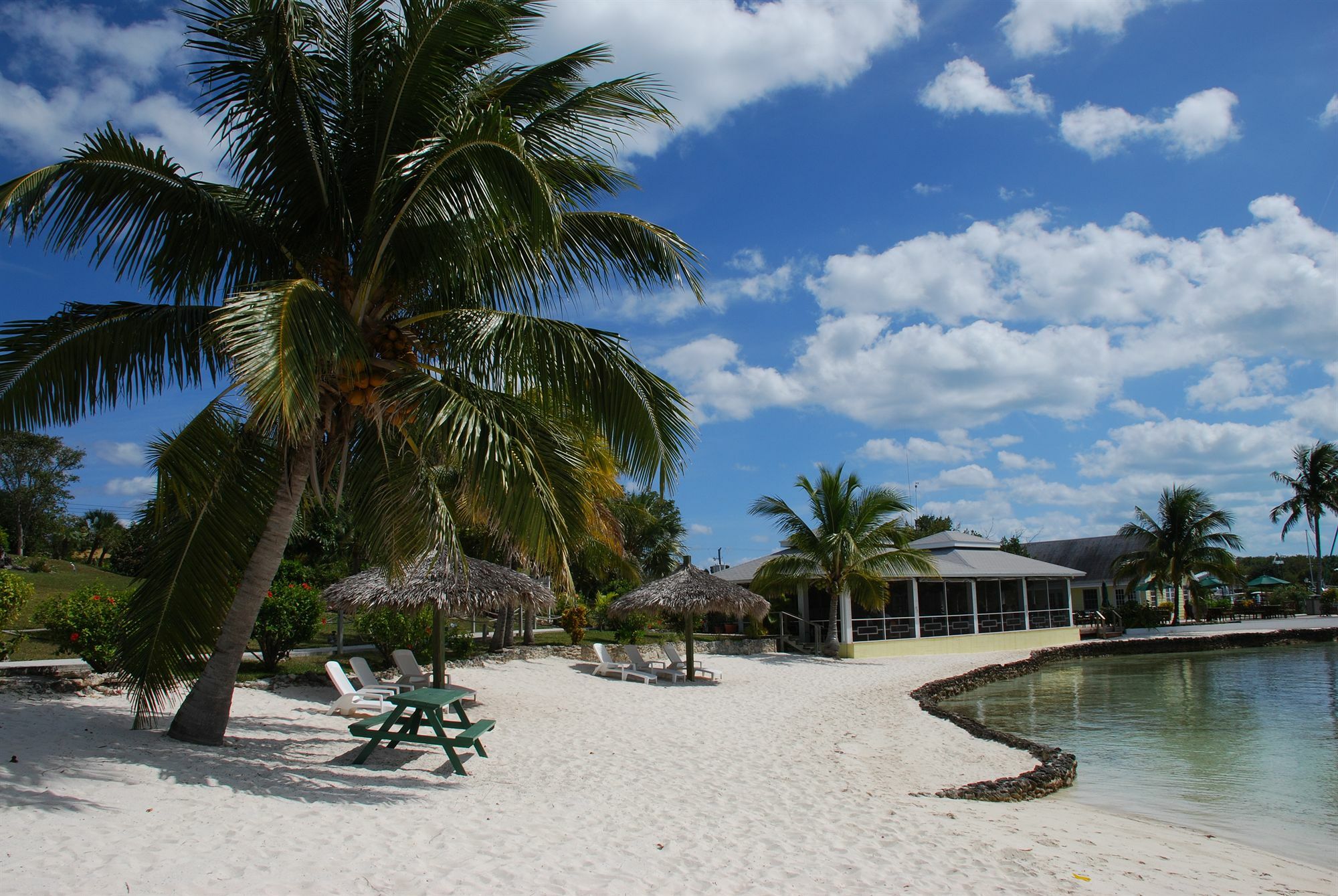 Green Turtle Club Resort & Marina Green Turtle Cay Экстерьер фото